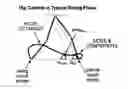 Fig. 01 - ROBUST SWING LEG CONTROLLER UNDER LARGE DISTURBANCES