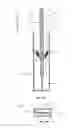 Fig. 08 - ORTHOPEDIC DEVICE FOR LIMITING THE MOVEMENT OF A JOINT ARRANGED BETWEEN A FIRST AND A SECOND BODY REGION