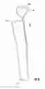 Fig. 04 - Compression garment