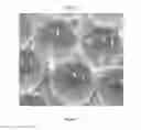 Fig. 07 - Methods for manufacturing encapsulated granular material, methods for drying coating materials, and fluidized bed dryers