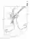 Fig. 02 - COMPOSITIONS AND METHODS FOR OTOLOGIC PROPHYLAXIS AND TREATMENT