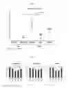 Fig. 02 - PROPHYLACTIC OR THERAPEUTIC AGENT FOR IDIOPATHIC INFLAMMATORY MYOPATHIES