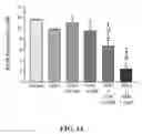 Fig. 15 - METHODS OF REDUCING OR PREVENTING OXIDATION OF SMALL DENSE LDL OR MEMBRANE POLYUNSATURATED FATTY ACIDS