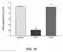 Fig. 20 - METHODS OF REDUCING OR PREVENTING OXIDATION OF SMALL DENSE LDL OR MEMBRANE POLYUNSATURATED FATTY ACIDS