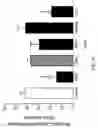 Fig. 34 - METHODS OF REDUCING OR PREVENTING OXIDATION OF SMALL DENSE LDL OR MEMBRANE POLYUNSATURATED FATTY ACIDS