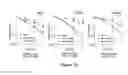 Fig. 16 - PHARMACEUTICAL COMBINATIONS FOR TREATING CANCER