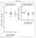 Fig. 09 - ANTIPERSPIRANT AGENT