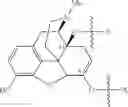 Fig. 41 - Alpha-hydroxy carboxylic acid and derivatives and other GRAS-based prodrugs of oxymorphone and uses thereof