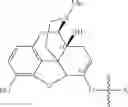 Fig. 47 - Alpha-hydroxy carboxylic acid and derivatives and other GRAS-based prodrugs of oxymorphone and uses thereof