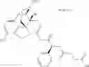 Fig. 131 - Methods and compositions for preventing opioid abuse