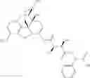 Fig. 216 - Methods and compositions for preventing opioid abuse