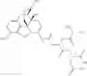 Fig. 262 - Methods and compositions for preventing opioid abuse