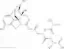 Fig. 340 - Methods and compositions for preventing opioid abuse