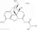 Fig. 461 - Methods and compositions for preventing opioid abuse
