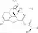 Fig. 848 - Methods and compositions for preventing opioid abuse