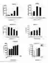 Fig. 11 - Sulphate salts of N-(3-(4-(3-(diisobutylamino)propyl)piperazin-1-yl)propyl)-1H-benzo[d]imidazol-2-amine, preparation thereof and use of the same
