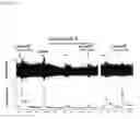 Fig. 03 - Methods and compositions for treating diseases and conditions