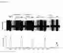 Fig. 04 - Methods and compositions for treating diseases and conditions