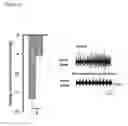Fig. 05 - Methods and compositions for treating diseases and conditions