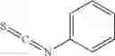 Fig. 28 - Methods for inhibiting conversion of carnitine to trimethylamine (TMA)