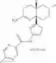 Fig. 121 - 2-amino 6-methyl-4,4a,5,6-tetrahydropyrano[3,4-d][1,3]thiazin-8a(8H)-yl-1,3-thiazol-4-yl amides
