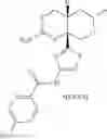 Fig. 46 - 2-amino 6-methyl-4,4a,5,6-tetrahydropyrano[3,4-d][1,3]thiazin-8a(8H)-yl-1,3-thiazol-4-yl amides