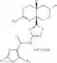 Fig. 68 - 2-amino 6-methyl-4,4a,5,6-tetrahydropyrano[3,4-d][1,3]thiazin-8a(8H)-yl-1,3-thiazol-4-yl amides