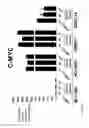Fig. 30 - Method of treating non-small cell lung cancer and/or small cell lung cancer using thienotriazolodiazepine compounds