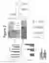 Fig. 03 - Anordrin compositions and methods for treating diseases