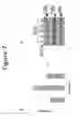 Fig. 08 - Anordrin compositions and methods for treating diseases