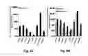 Fig. 07 - METHODS AND COMPOSITIONS FOR ENHANCED DRUG DELIVERY TO THE EYE AND EXTENDED DELIVERY FORMULATIONS