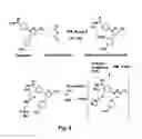 Fig. 09 - METHODS AND COMPOSITIONS FOR ENHANCED DRUG DELIVERY TO THE EYE AND EXTENDED DELIVERY FORMULATIONS