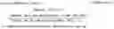 Fig. 02 - GM-CSF-PRODUCING T-CELL CONTROL AGENT AND Th1/Th2 IMMUNE BALANCE REGULATOR