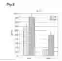 Fig. 09 - GM-CSF-PRODUCING T-CELL CONTROL AGENT AND Th1/Th2 IMMUNE BALANCE REGULATOR