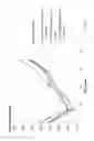 Fig. 02 - Use of dextran sulfate having an average molecular weight below 10000 DA for inducing angiogenesis in a subject