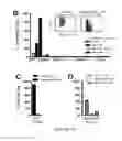 Fig. 03 - Compositions and methods for selective phagocytosis of human cancer cells