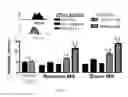 Fig. 04 - Compositions and methods for selective phagocytosis of human cancer cells