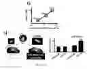 Fig. 16 - Compositions and methods for selective phagocytosis of human cancer cells