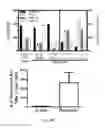 Fig. 33 - Compositions and methods for selective phagocytosis of human cancer cells