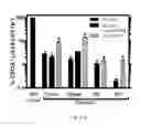 Fig. 41 - Compositions and methods for selective phagocytosis of human cancer cells
