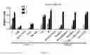 Fig. 43 - Compositions and methods for selective phagocytosis of human cancer cells