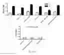 Fig. 45 - Compositions and methods for selective phagocytosis of human cancer cells