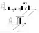 Fig. 46 - Compositions and methods for selective phagocytosis of human cancer cells