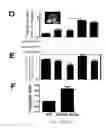 Fig. 49 - Compositions and methods for selective phagocytosis of human cancer cells