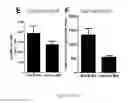 Fig. 52 - Compositions and methods for selective phagocytosis of human cancer cells