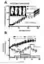 Fig. 56 - Compositions and methods for selective phagocytosis of human cancer cells
