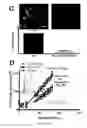 Fig. 57 - Compositions and methods for selective phagocytosis of human cancer cells