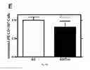 Fig. 61 - Compositions and methods for selective phagocytosis of human cancer cells