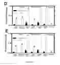 Fig. 63 - Compositions and methods for selective phagocytosis of human cancer cells
