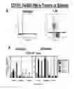 Fig. 65 - Compositions and methods for selective phagocytosis of human cancer cells